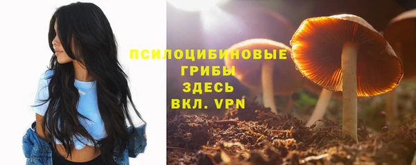 скорость Алзамай