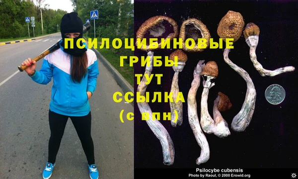 скорость Алзамай