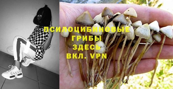 mdpv Алексеевка