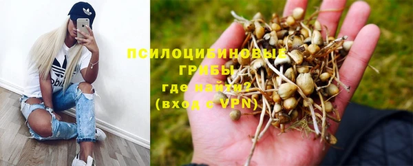 героин Алексин